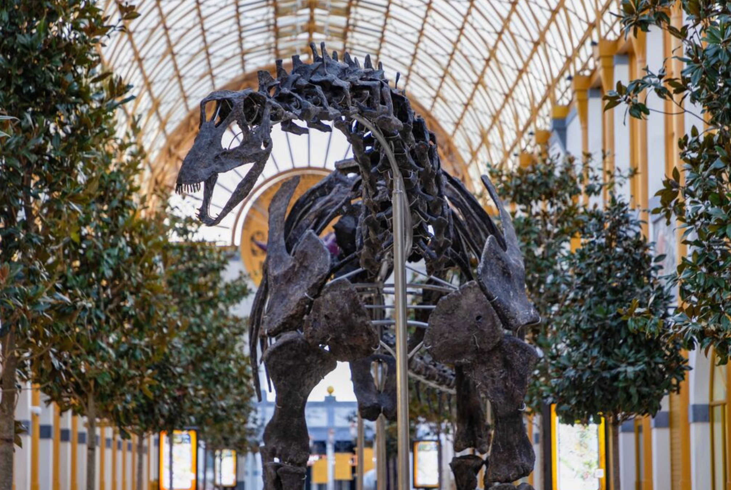 PAIRI DAIZA PARTEZ EN VOYAGE DANS LE MONDE