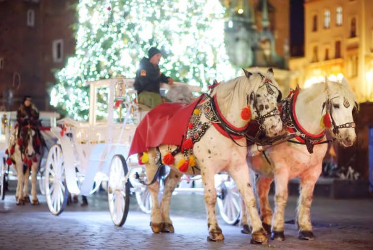 NOËL FÉERIQUE À CRACOVIE