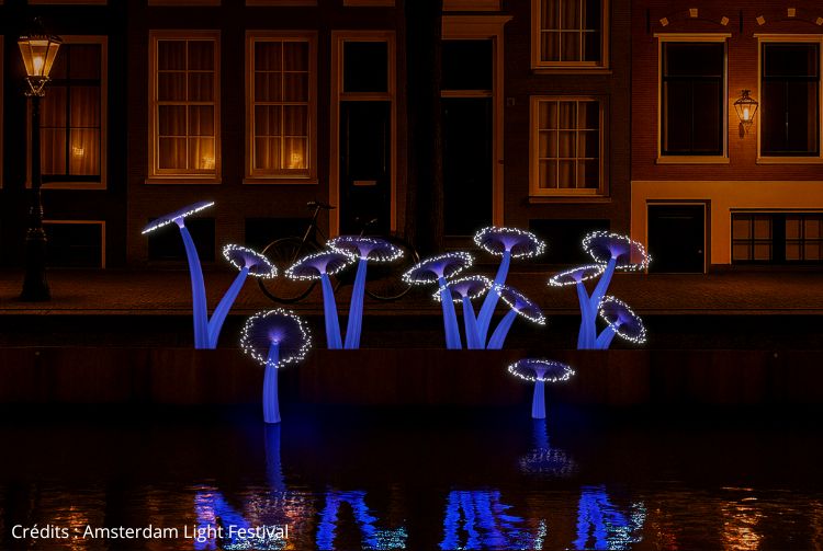 AMSTERDAM FESTIVAL DES LUMIÈRES
