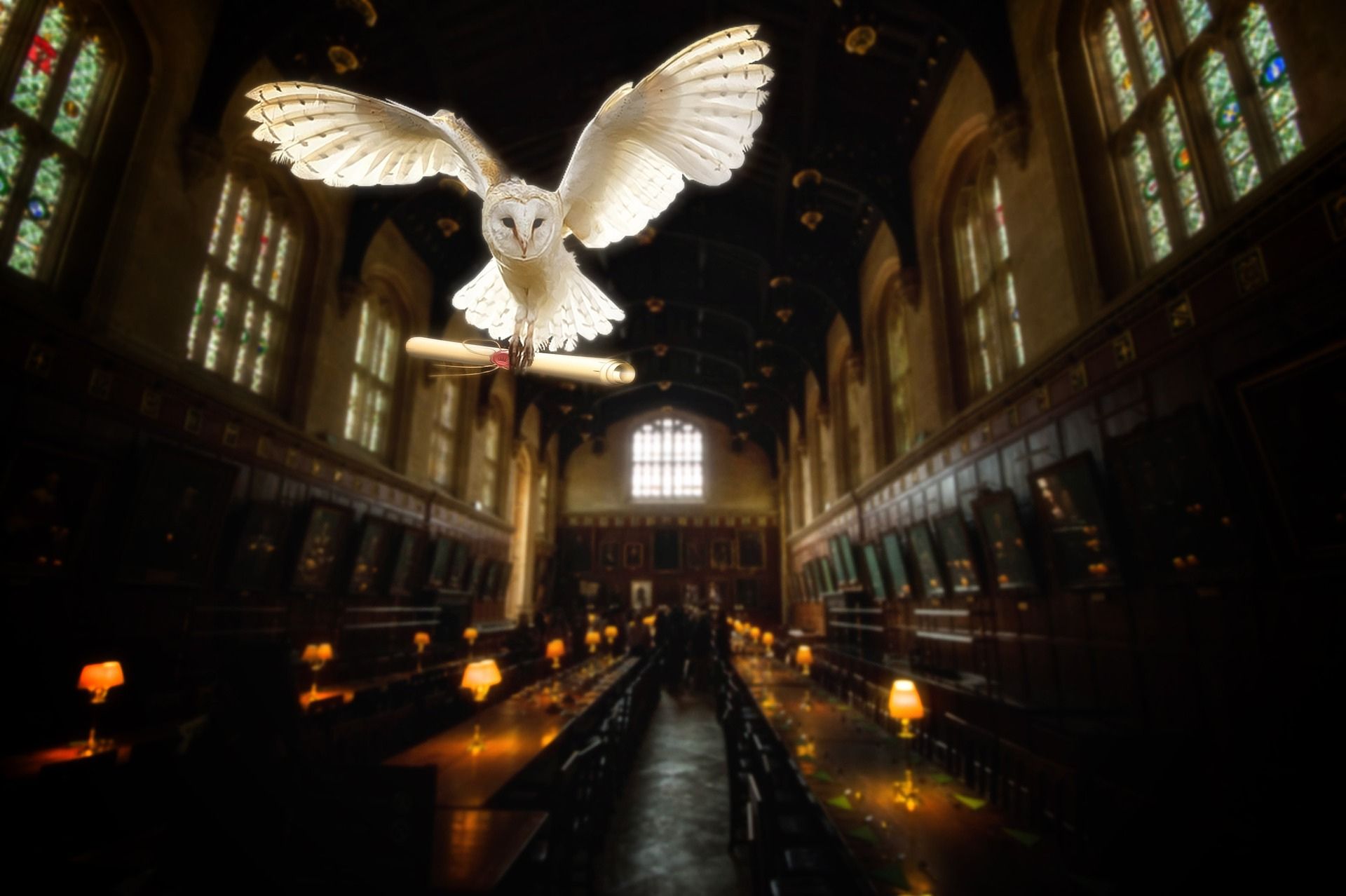WEEK-END LONDRES ET Studio Warner Bros Harry Potter™