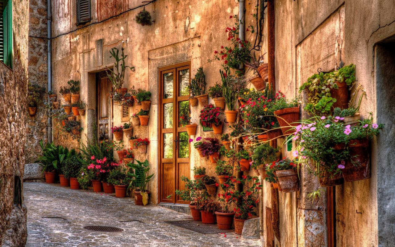 MAJORQUE PARADISIAQUE