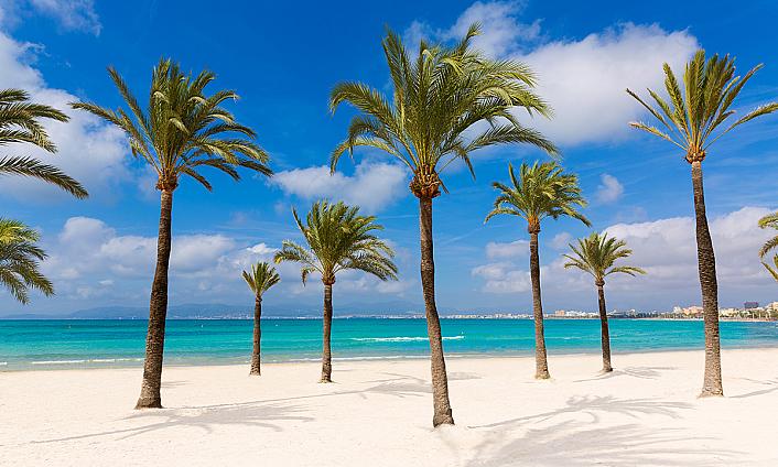 MAJORQUE PARADISIAQUE