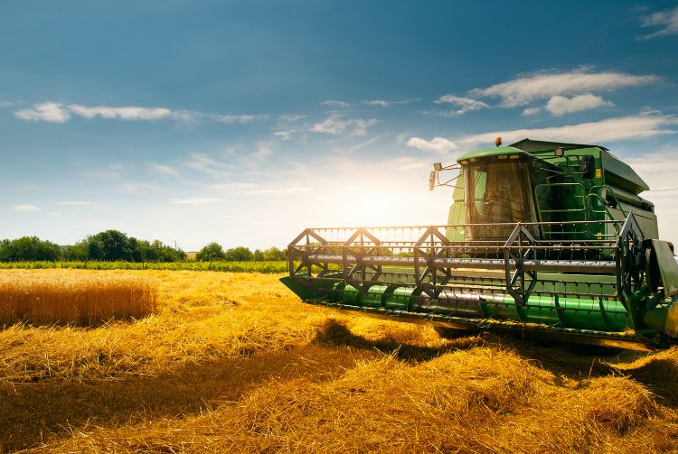 PARIS - SALON DE L'AGRICULTURE